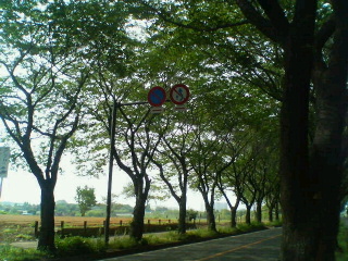 200705051626000.jpg