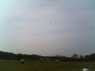 200705051631000.jpg