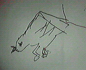 200805272306000.jpg